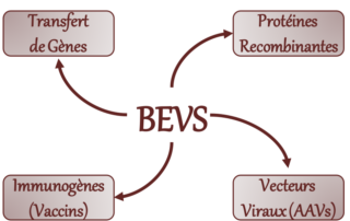 Une technologie basée sur la production de protéines recombinantes