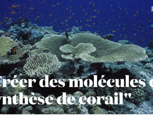 Les océans, un trésor à préserver : Revivez la conférence à la maison des Océans, Paris